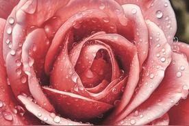 「Midjourney」参数详解 - stylize-Ai设计师学院