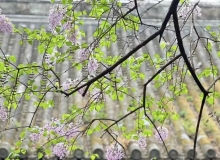 一位北京市民与AI对话的几点体会-Ai设计师学院