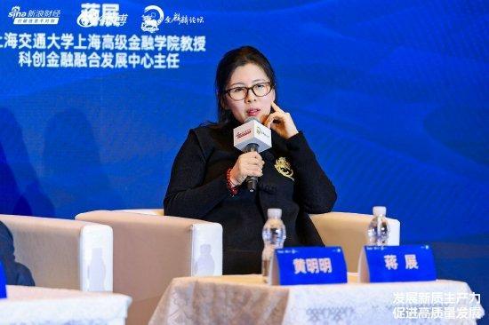 AI有泡沫吗？上海交大高金教授蒋展：泡沫是相对的，中国头部AI公司比美国便宜很多