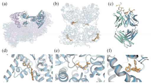 人工智能的诺奖时刻：重塑科学的未来