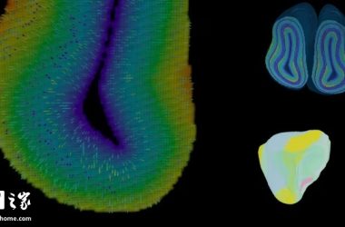 微软携手瑞士初创 inait，落地类脑人工智能模型-Ai设计师学院