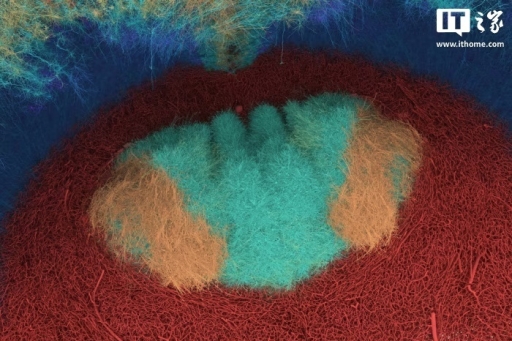 微软与瑞士初创公司 inait 合作,部署模拟大脑的人工智能模型