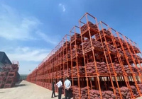 加力突破 提档升级｜巧用“电子仓单”轻松破解融资难题-Ai设计师学院