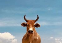 再创新高!历史性时刻刚刚诞生!-Ai设计师学院