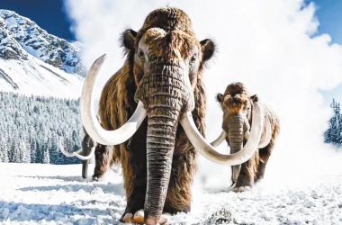 2024年，人工智能引领全球变革-Ai设计师学院