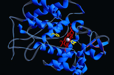 两位AI研究员获诺奖引发业界对未来科研方向的深刻思考-Ai设计师学院