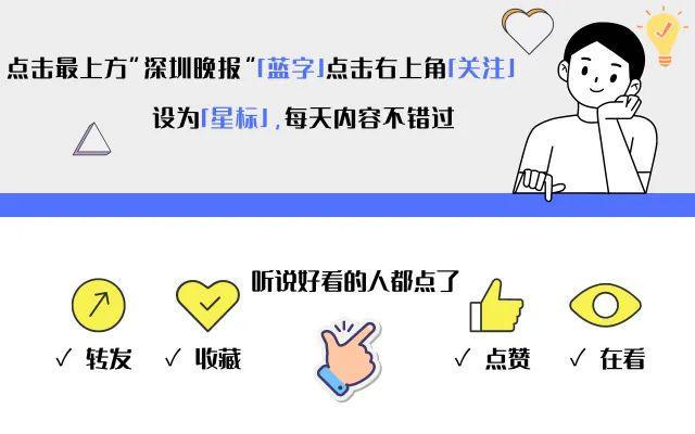 突遇暴跌，超28万人资金爆仓