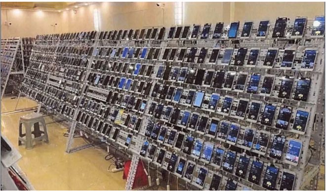 柬埔寨重磅“杀猪盘”案告破,美国扣押电诈主犯近百万资产 柬埔寨重磅“杀猪盘”案告破,美国扣押电诈主犯近百万资产