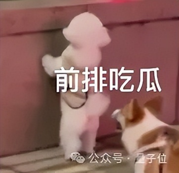 OpenAI：GPT-5实现多功能集成，打造全能平台